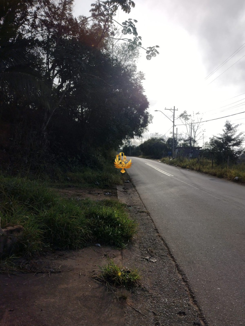 Sítio, 3 quartos - Foto 7