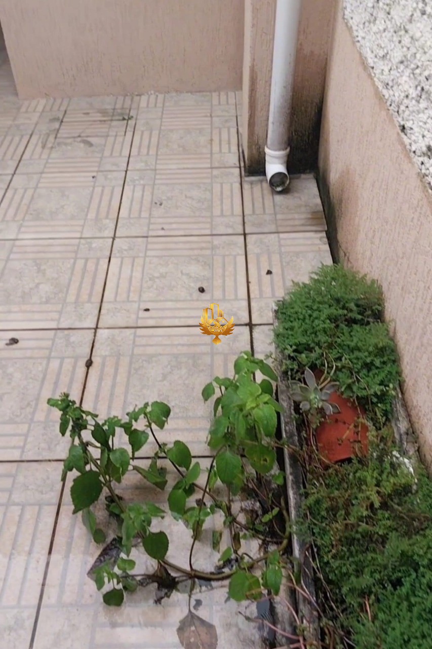 Casa, 3 quartos - Foto 33