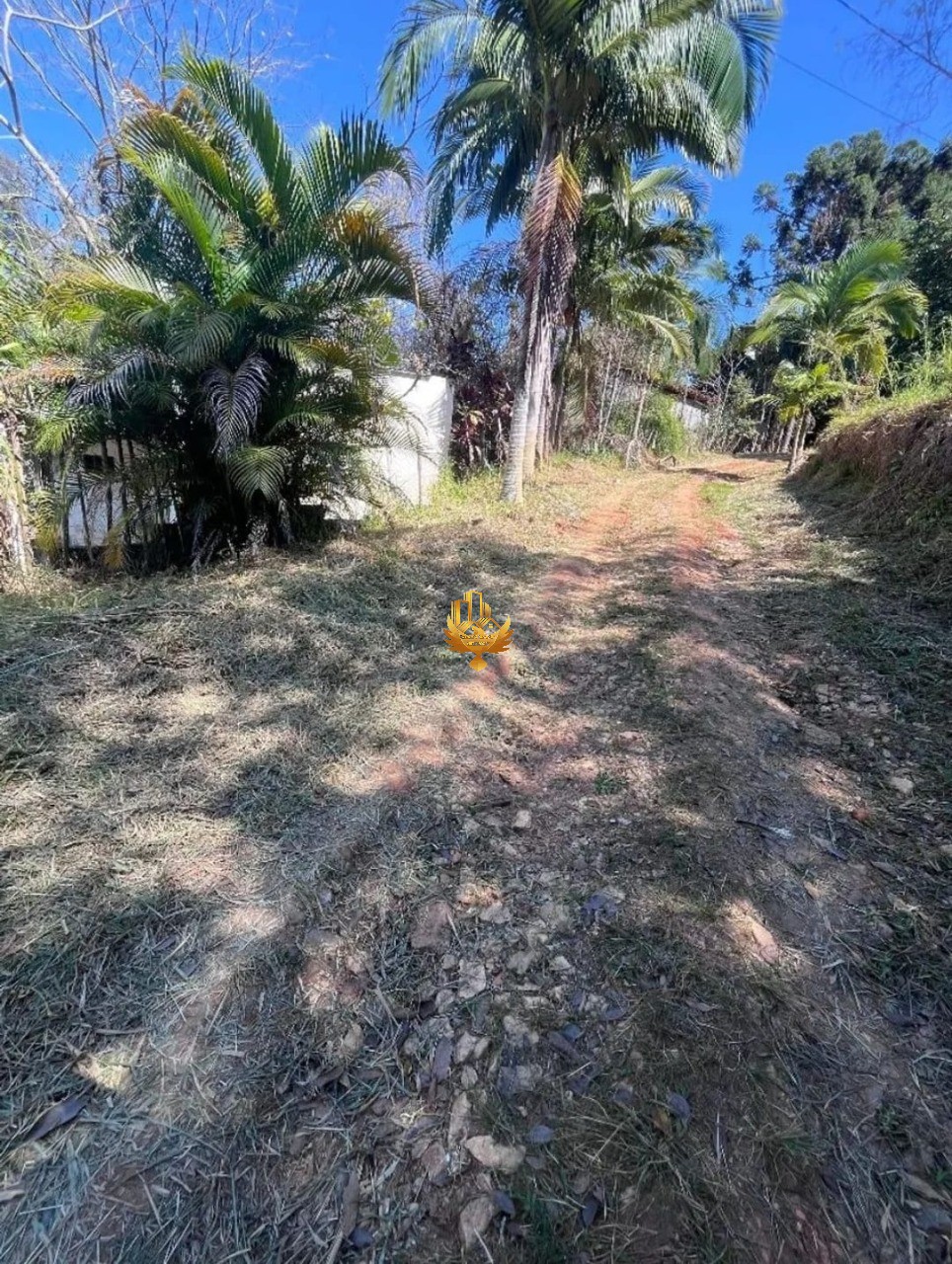 Sítio, 3 quartos - Foto 6