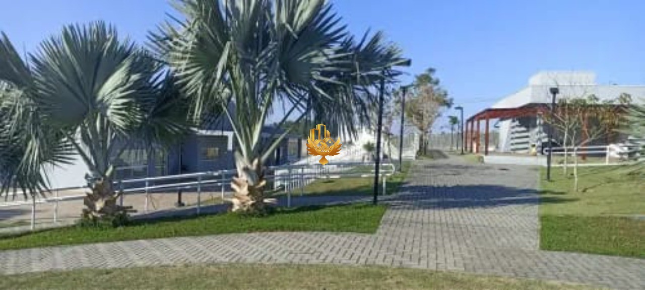 Terreno, 250 m² - Foto 6