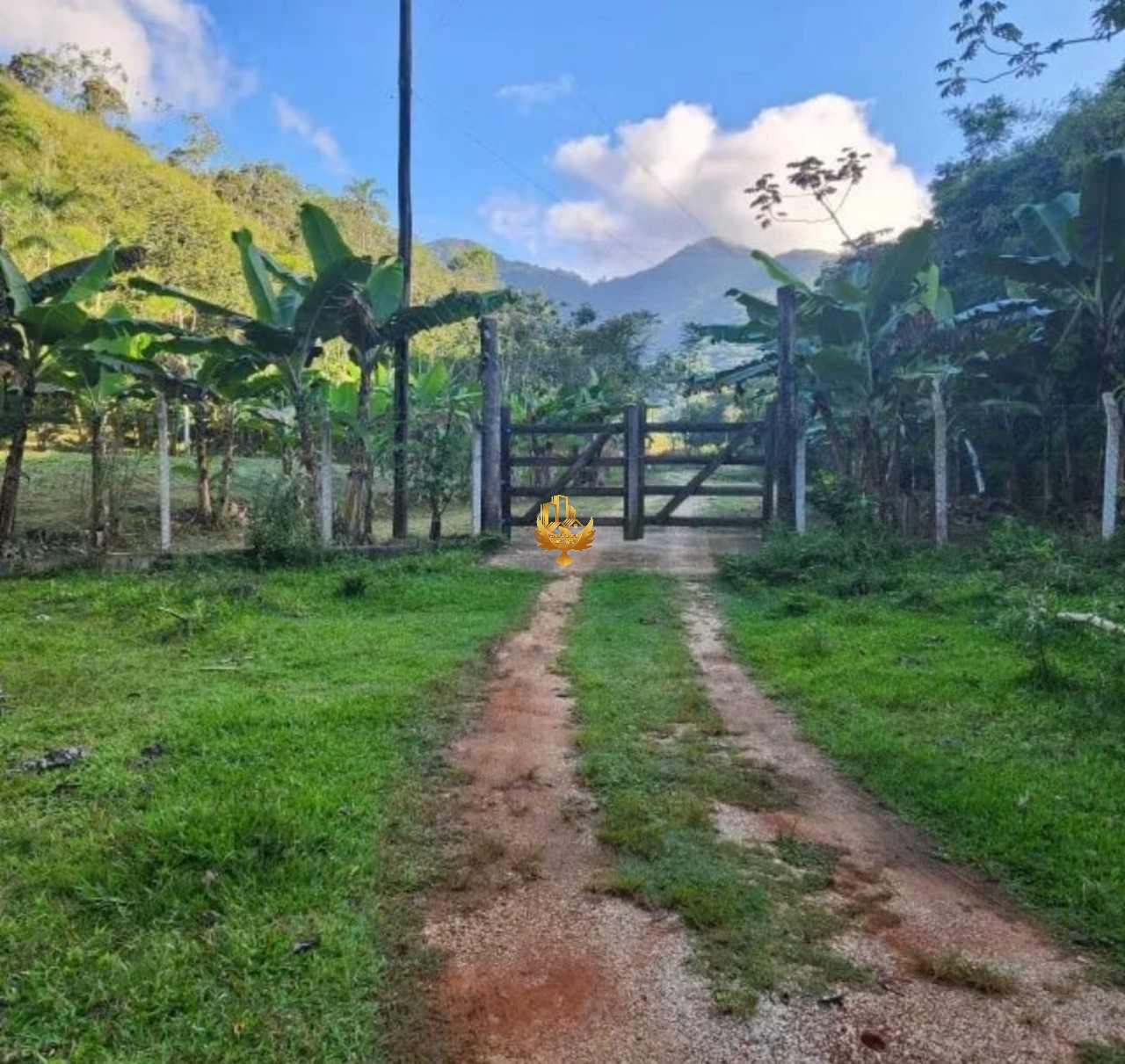 Sítio, 1 quarto - Foto 1