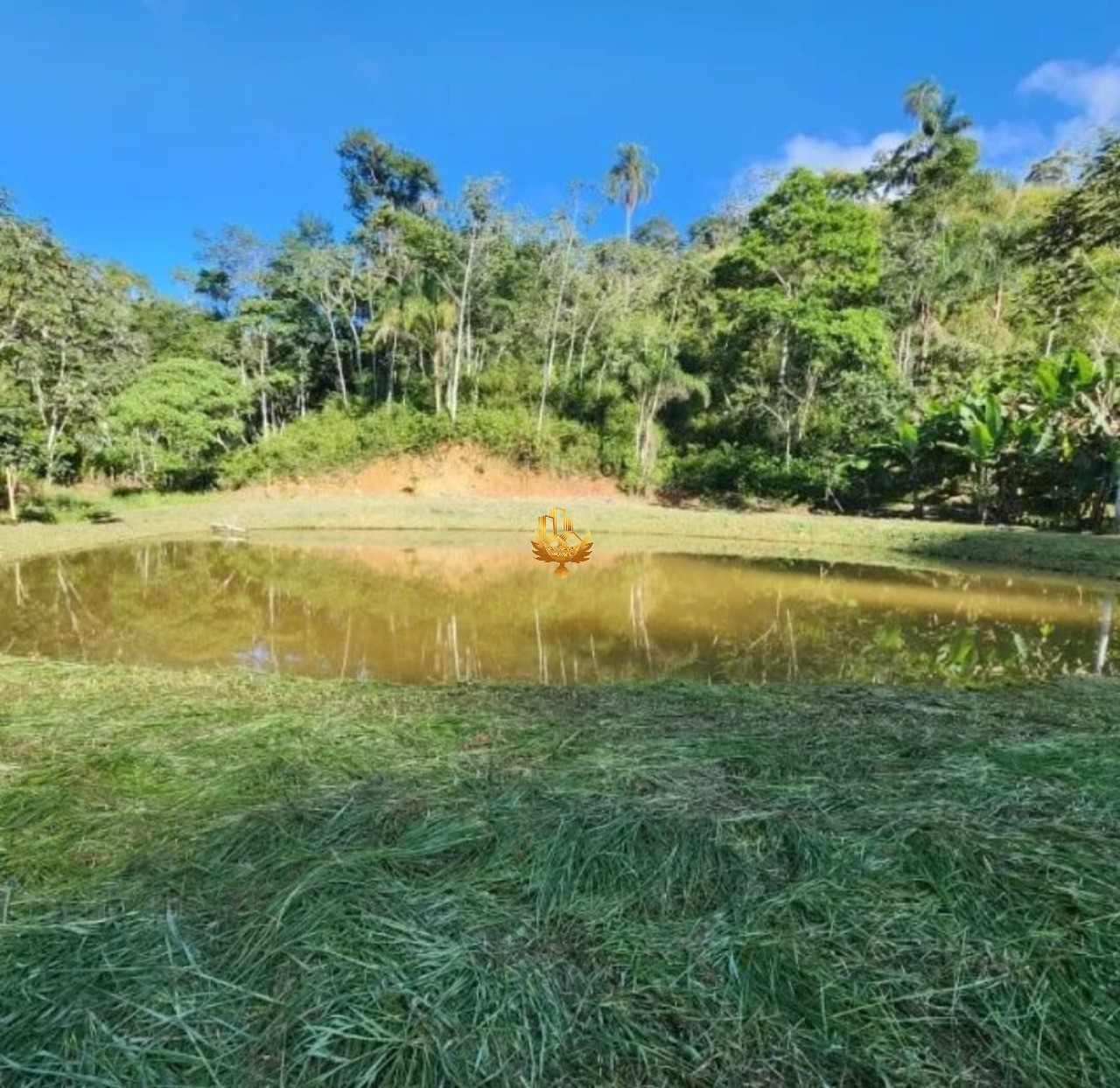 Sítio, 1 quarto - Foto 2