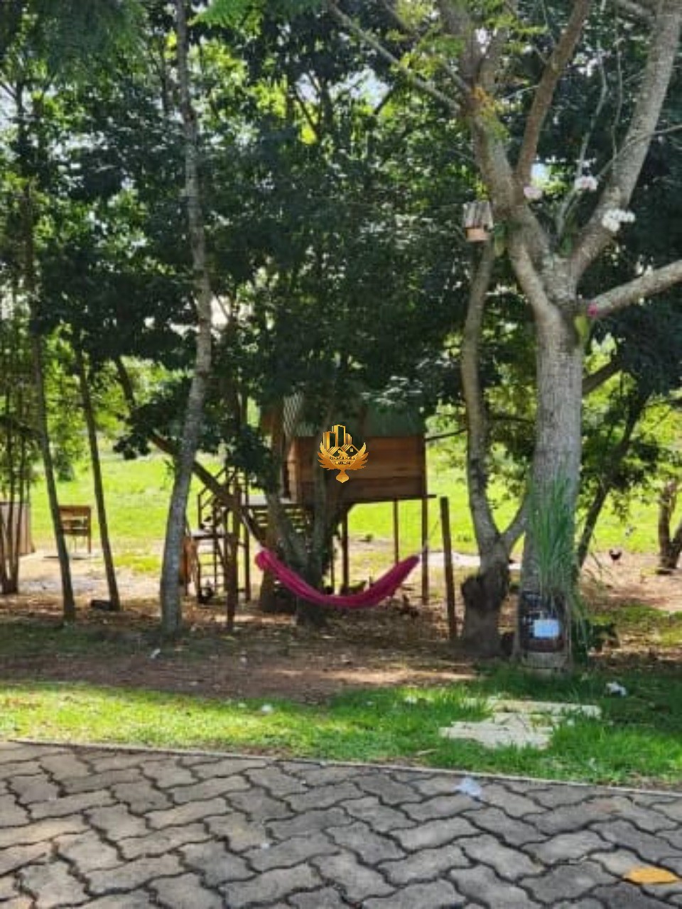 Terreno, 300 m² - Foto 6