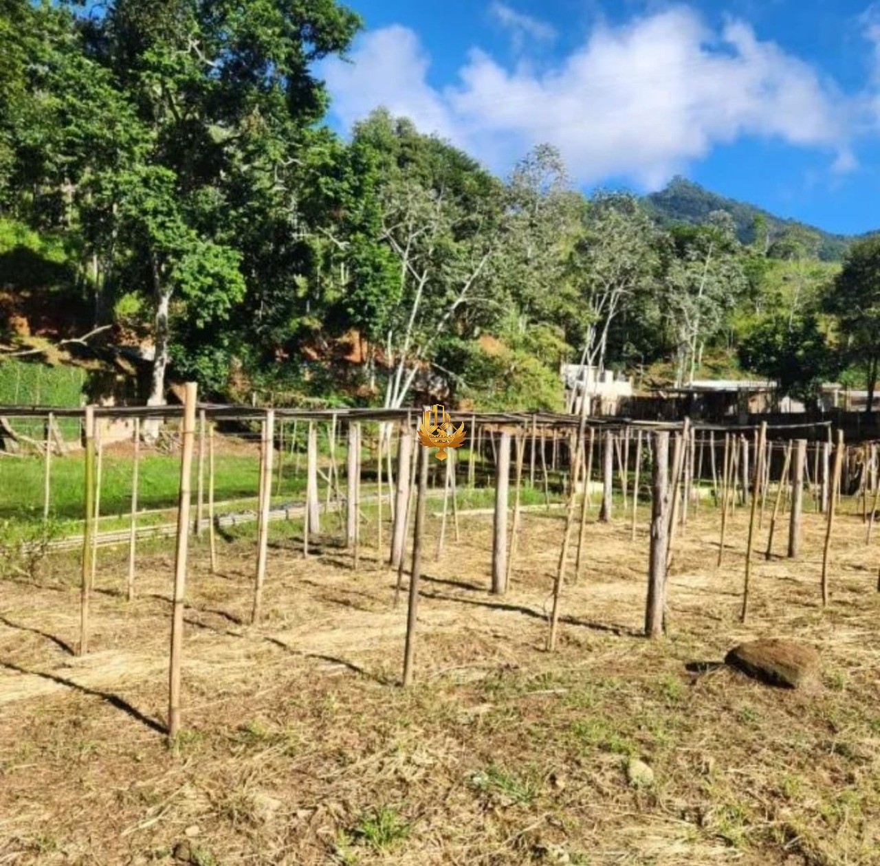 Sítio, 1 quarto - Foto 5