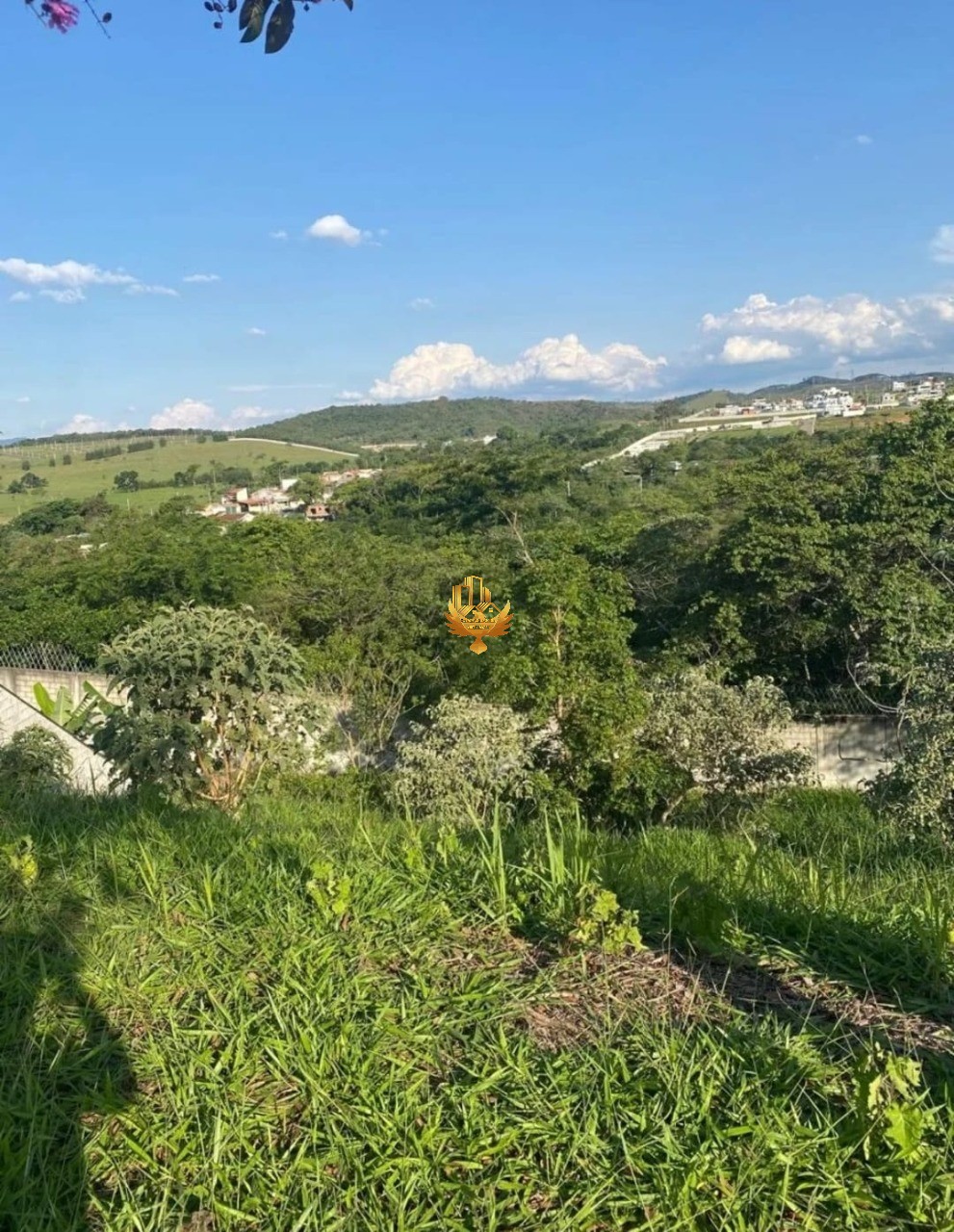 Terreno, 464 m² - Foto 3
