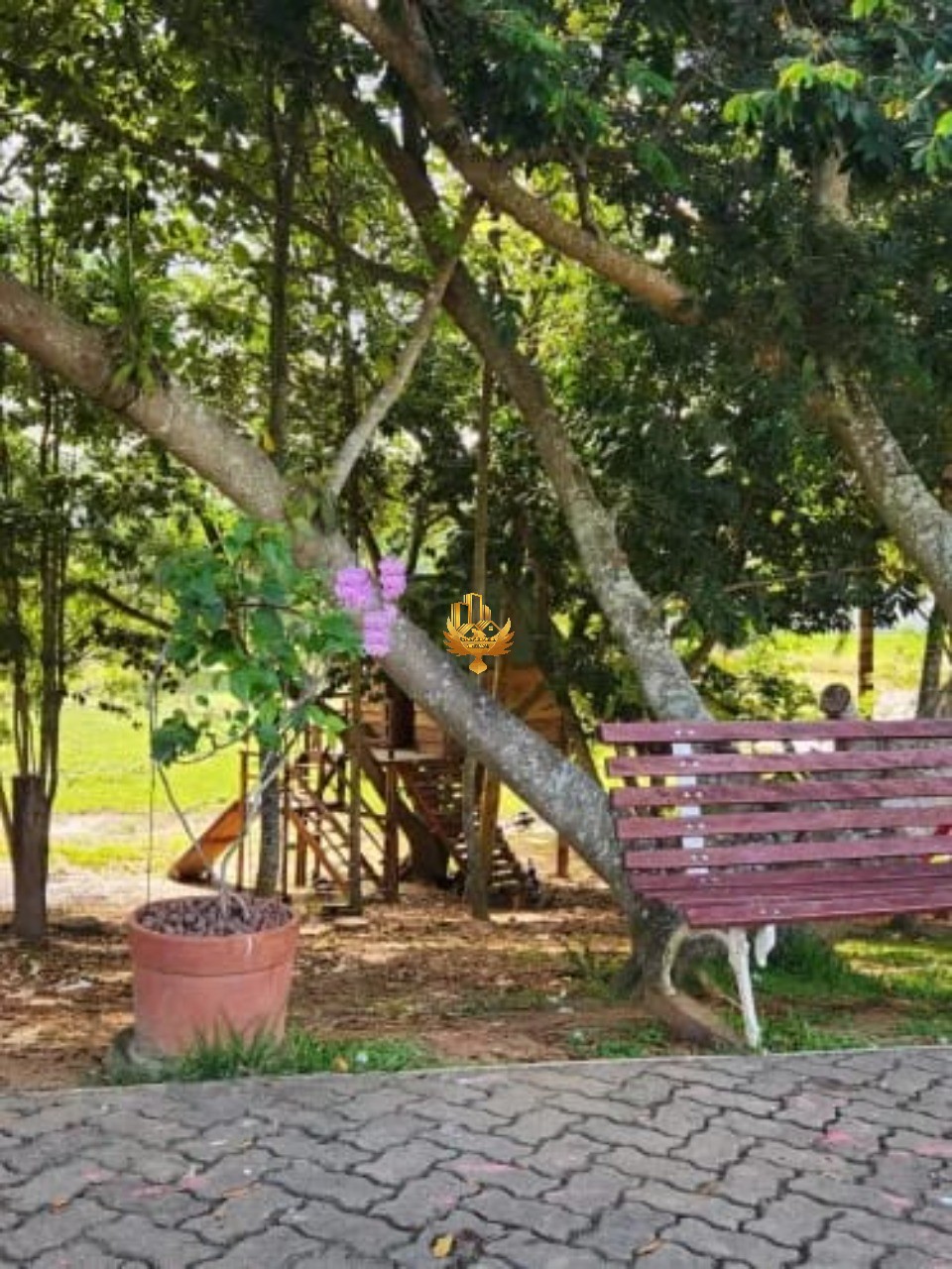 Terreno, 300 m² - Foto 4