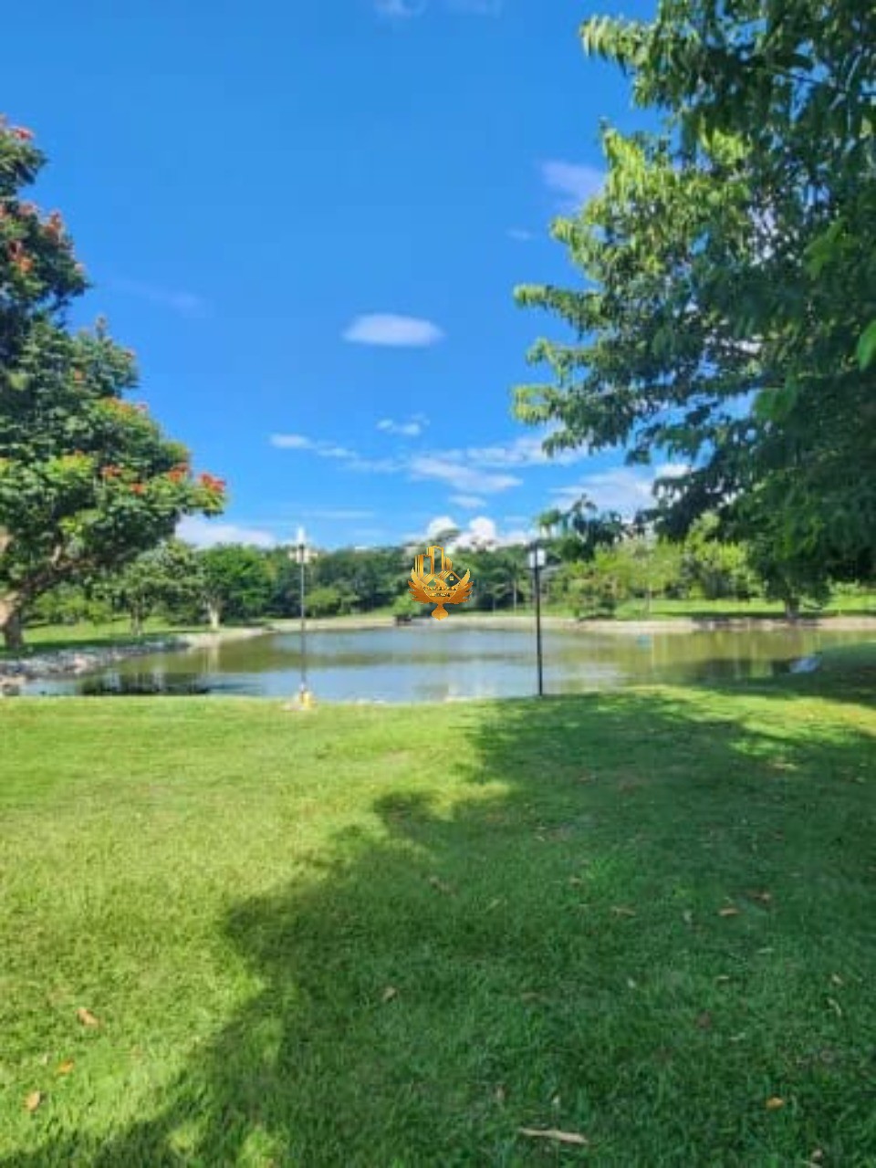 Terreno, 300 m² - Foto 5