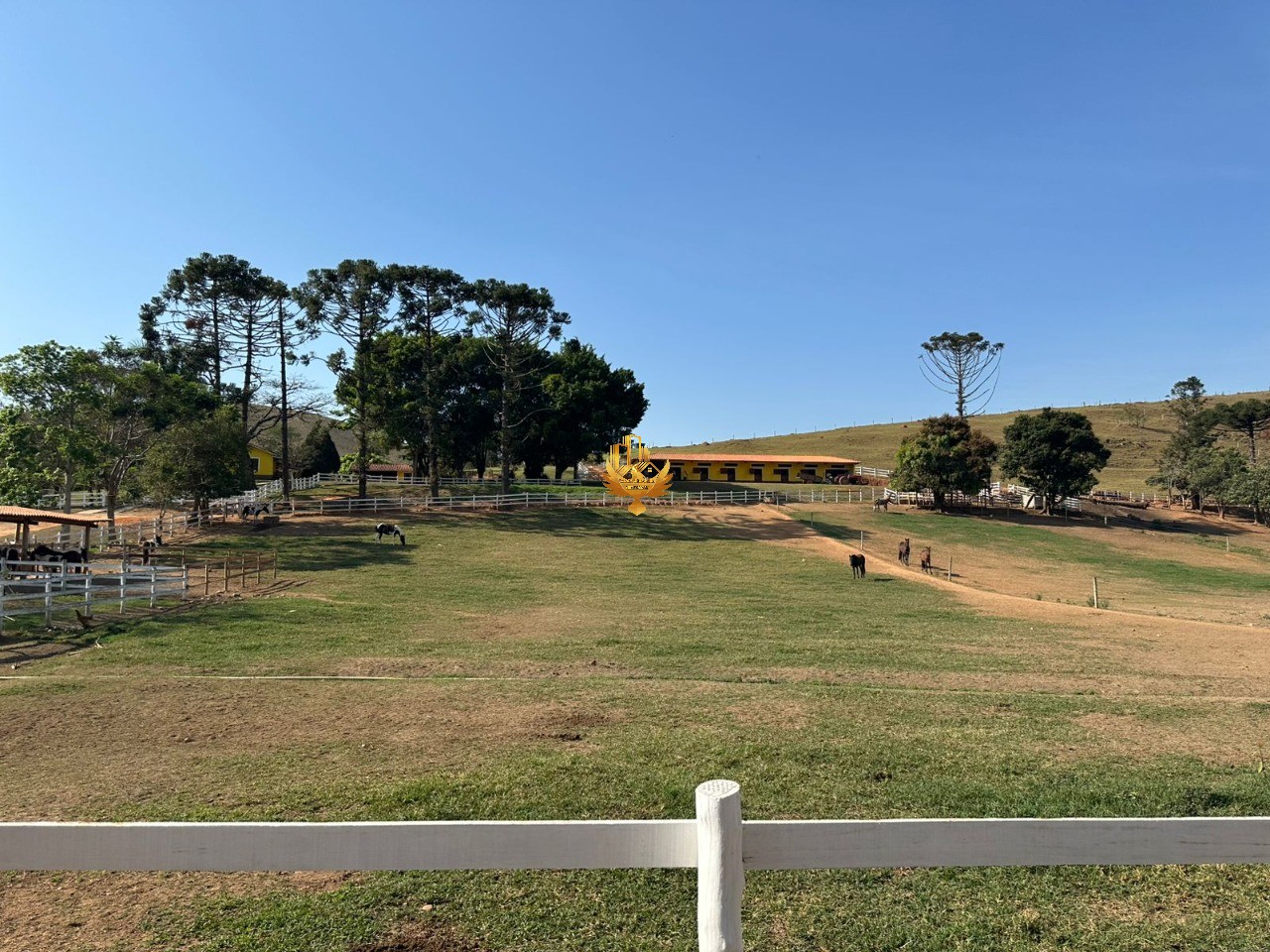 Fazenda, 4 quartos - Foto 20