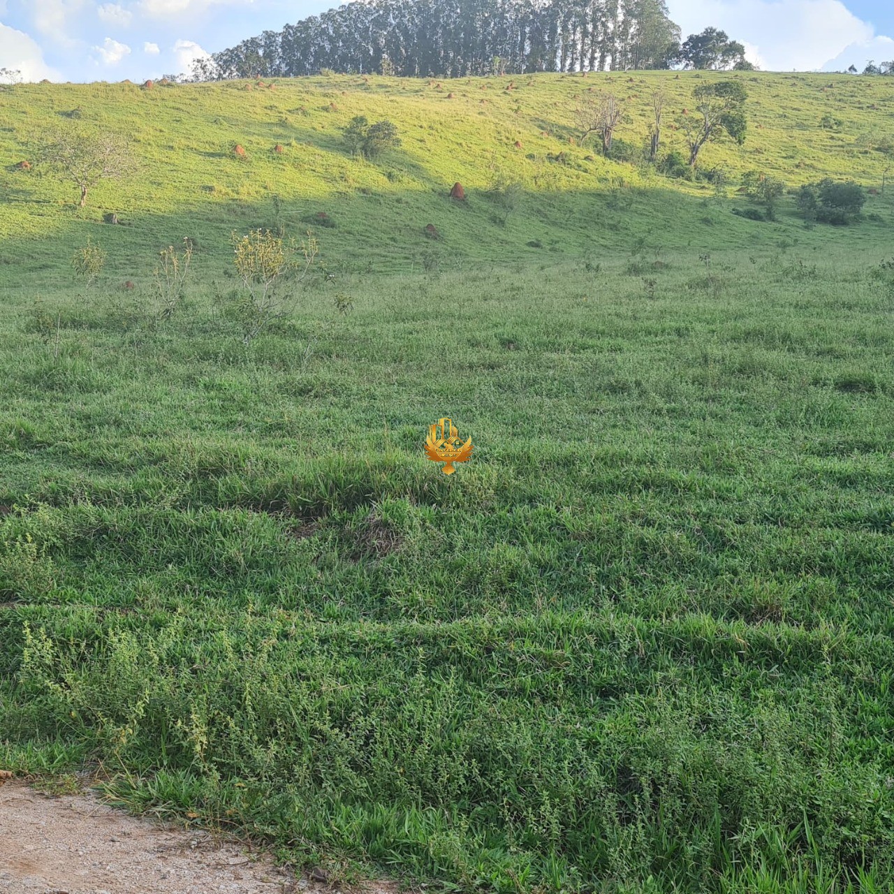 Terreno, 2500 m² - Foto 7