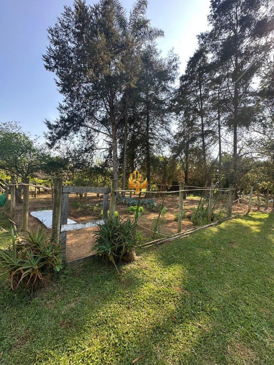 Fazenda, 4 quartos - Foto 34