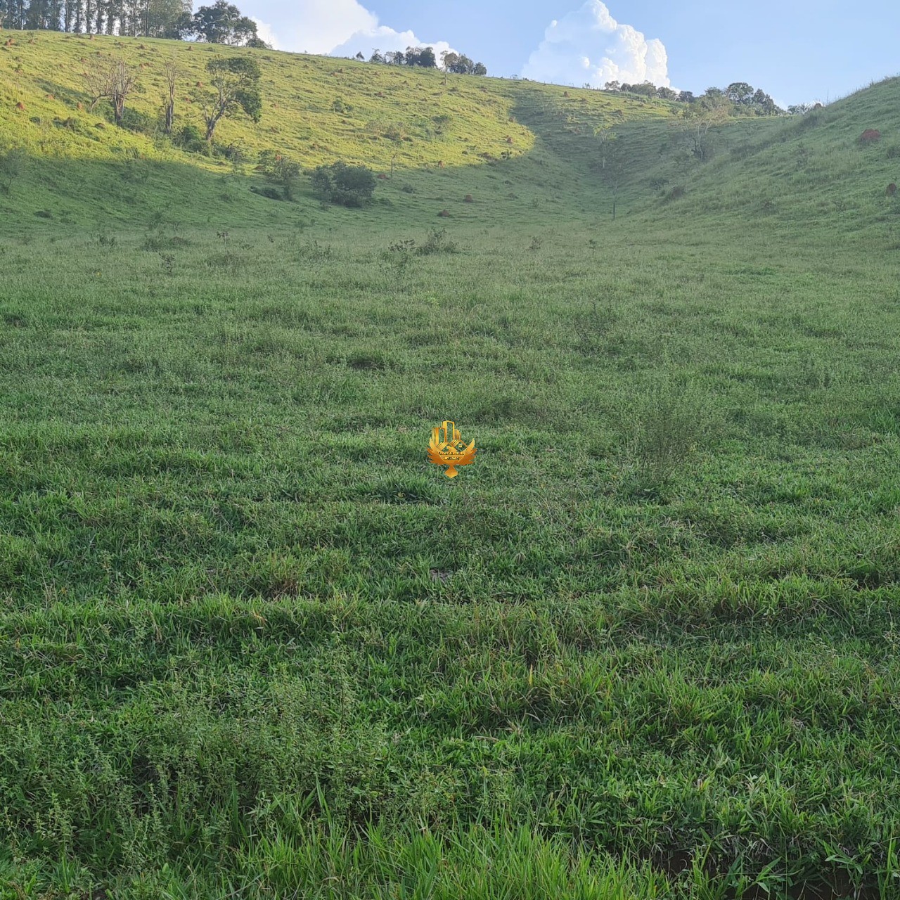 Terreno, 2500 m² - Foto 10