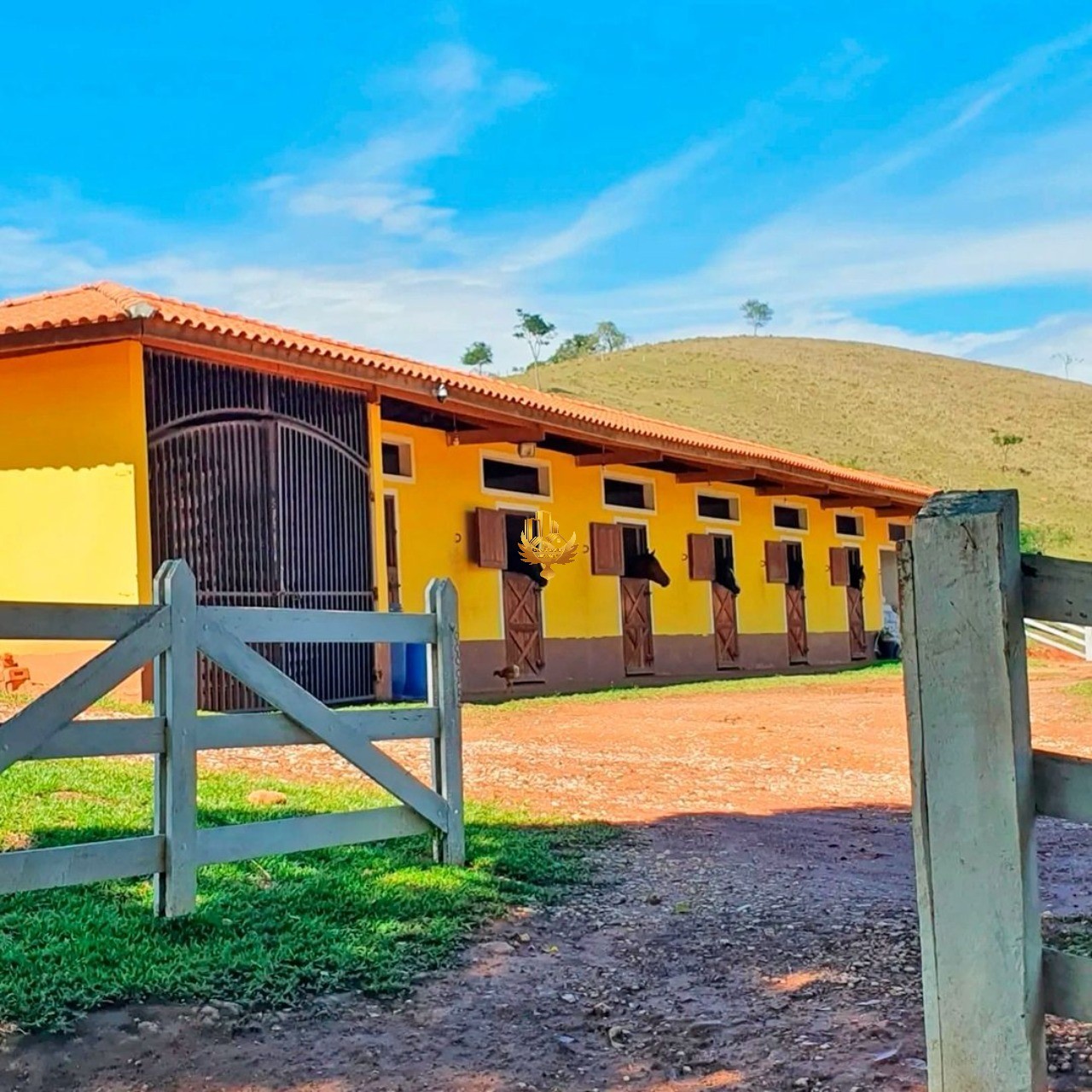 Fazenda, 4 quartos - Foto 41