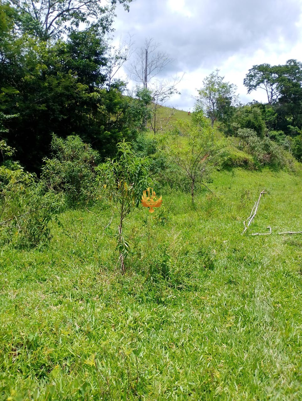 Terreno, 2500 m² - Foto 13