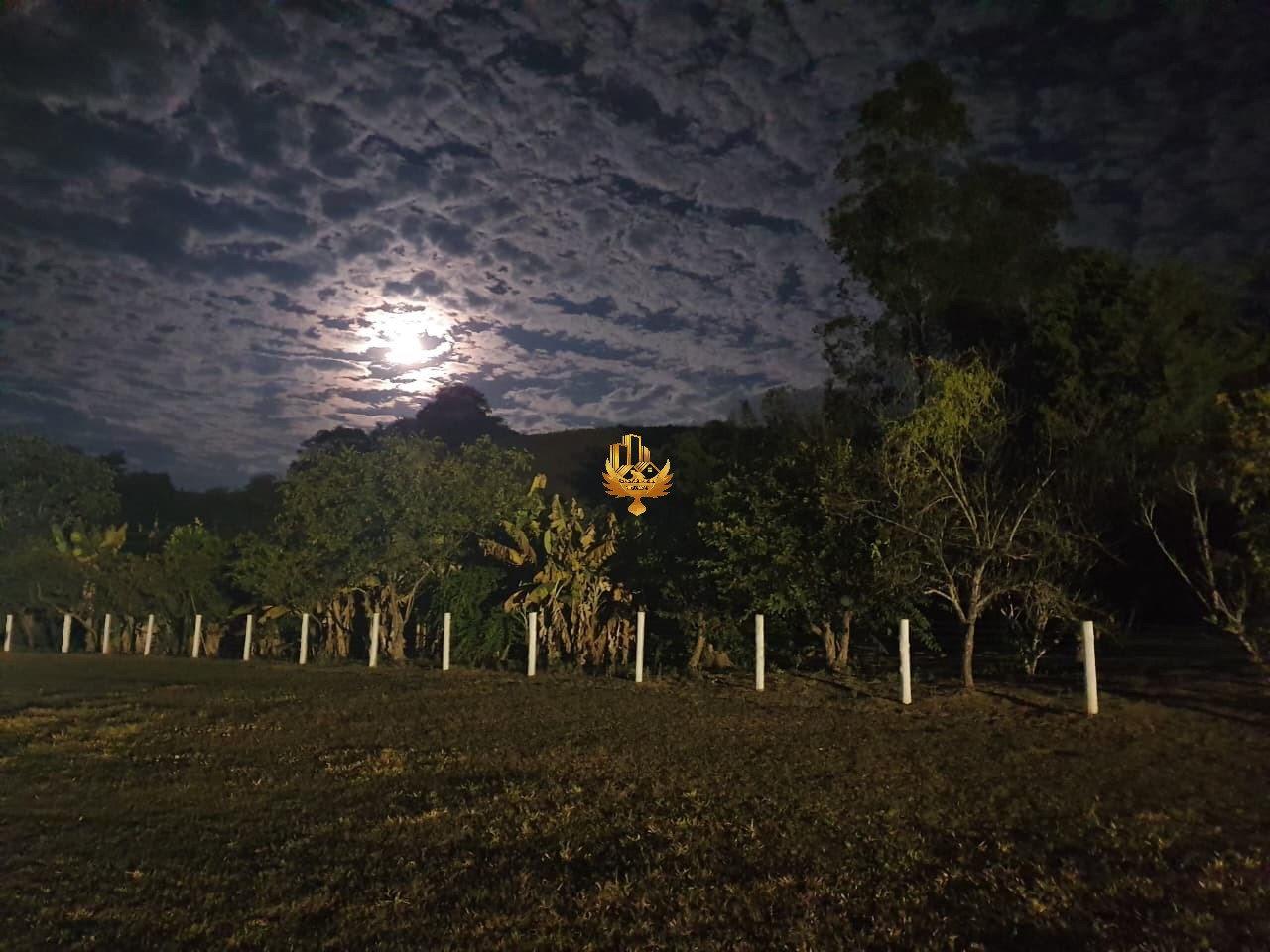 Fazenda, 4 quartos - Foto 43