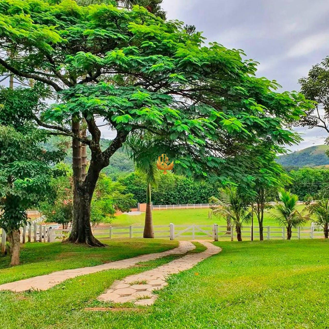 Fazenda, 4 quartos - Foto 3
