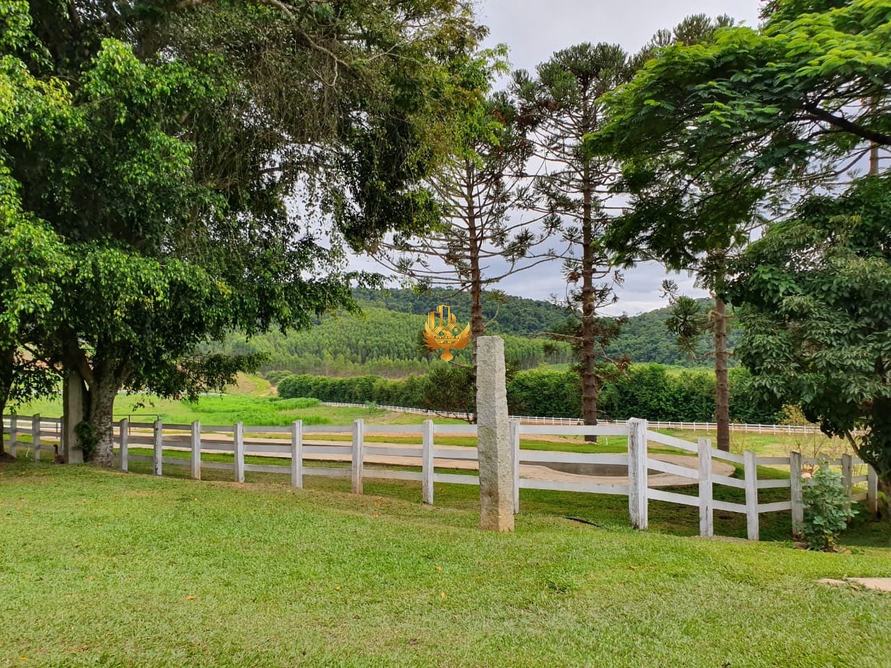 Fazenda, 4 quartos - Foto 16