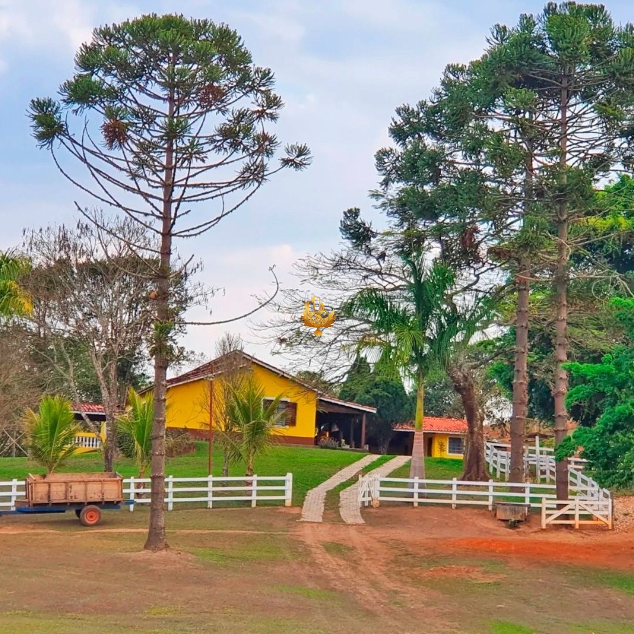 Fazenda, 4 quartos - Foto 1