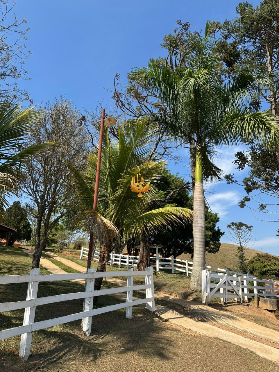 Fazenda, 4 quartos - Foto 30
