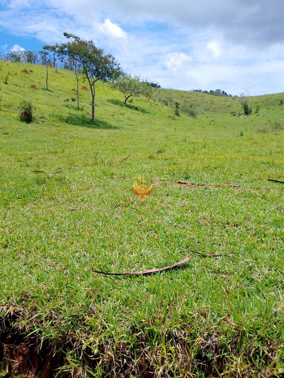Terreno, 2500 m² - Foto 4