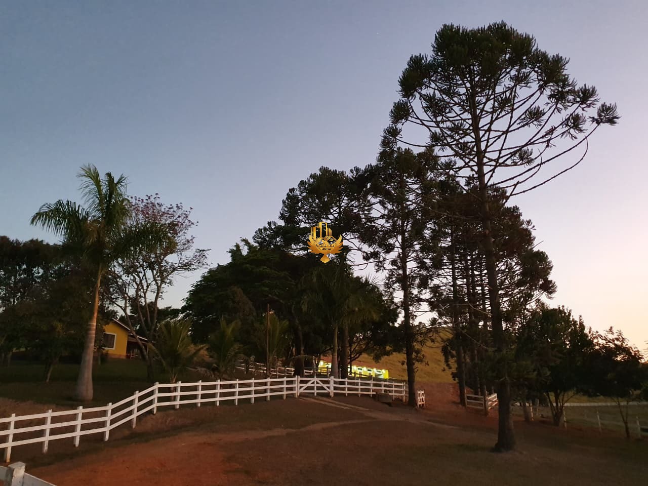 Fazenda, 4 quartos - Foto 8