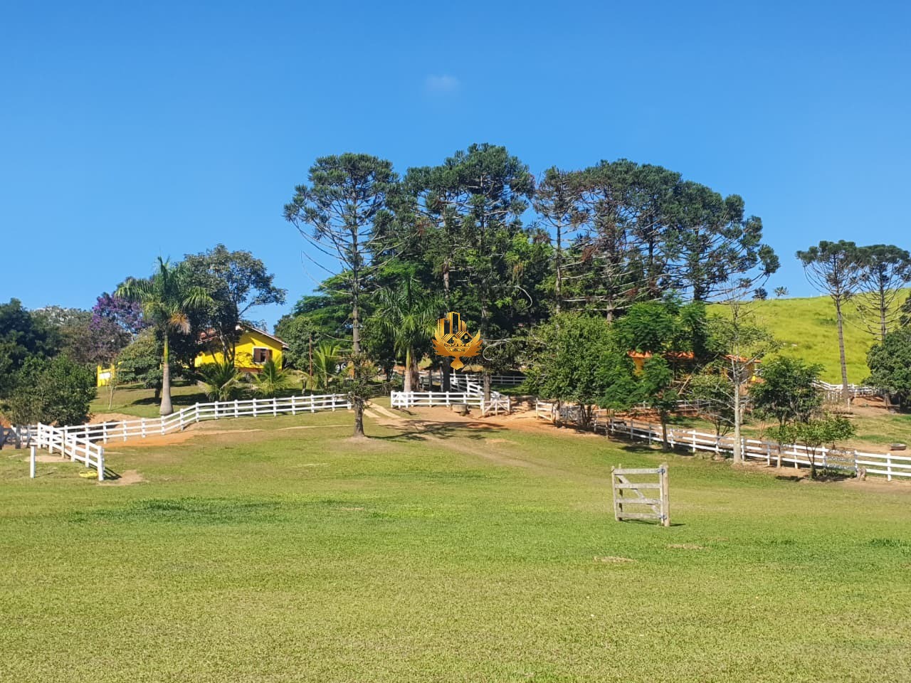 Fazenda, 4 quartos - Foto 28