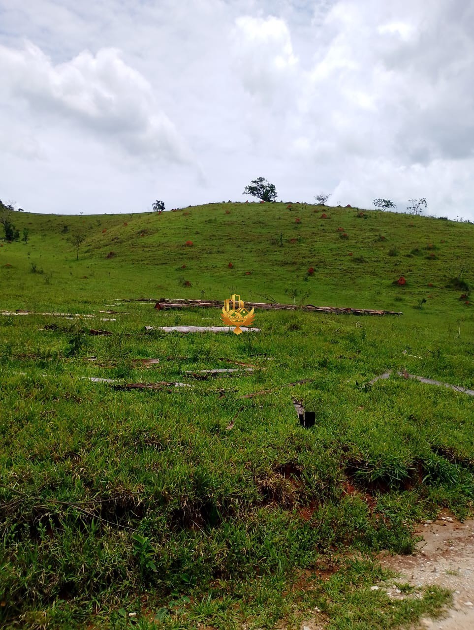 Terreno, 2500 m² - Foto 8
