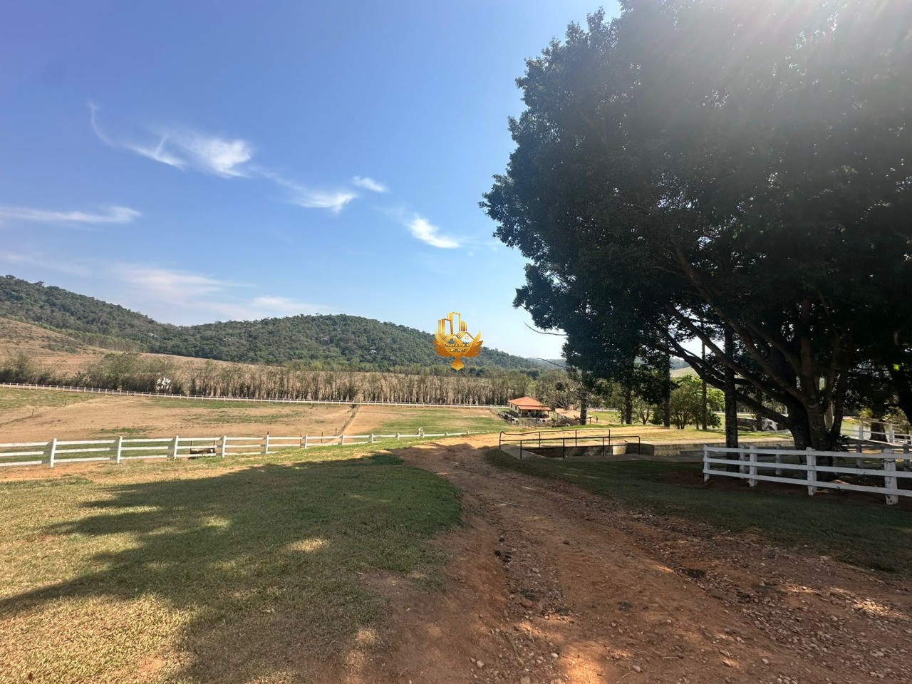 Fazenda, 4 quartos - Foto 12