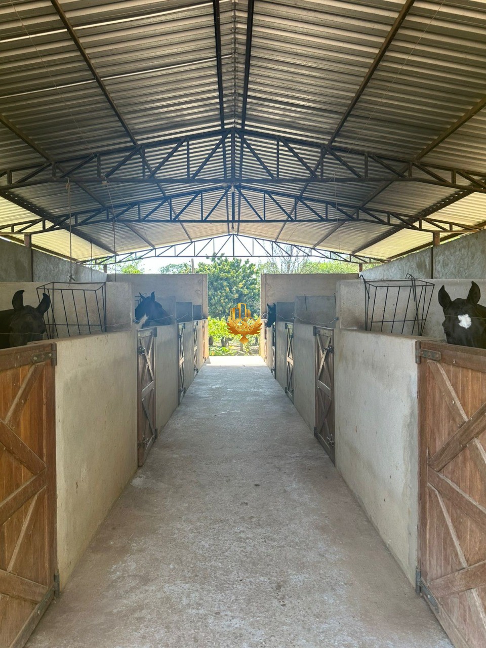Fazenda, 4 quartos - Foto 24