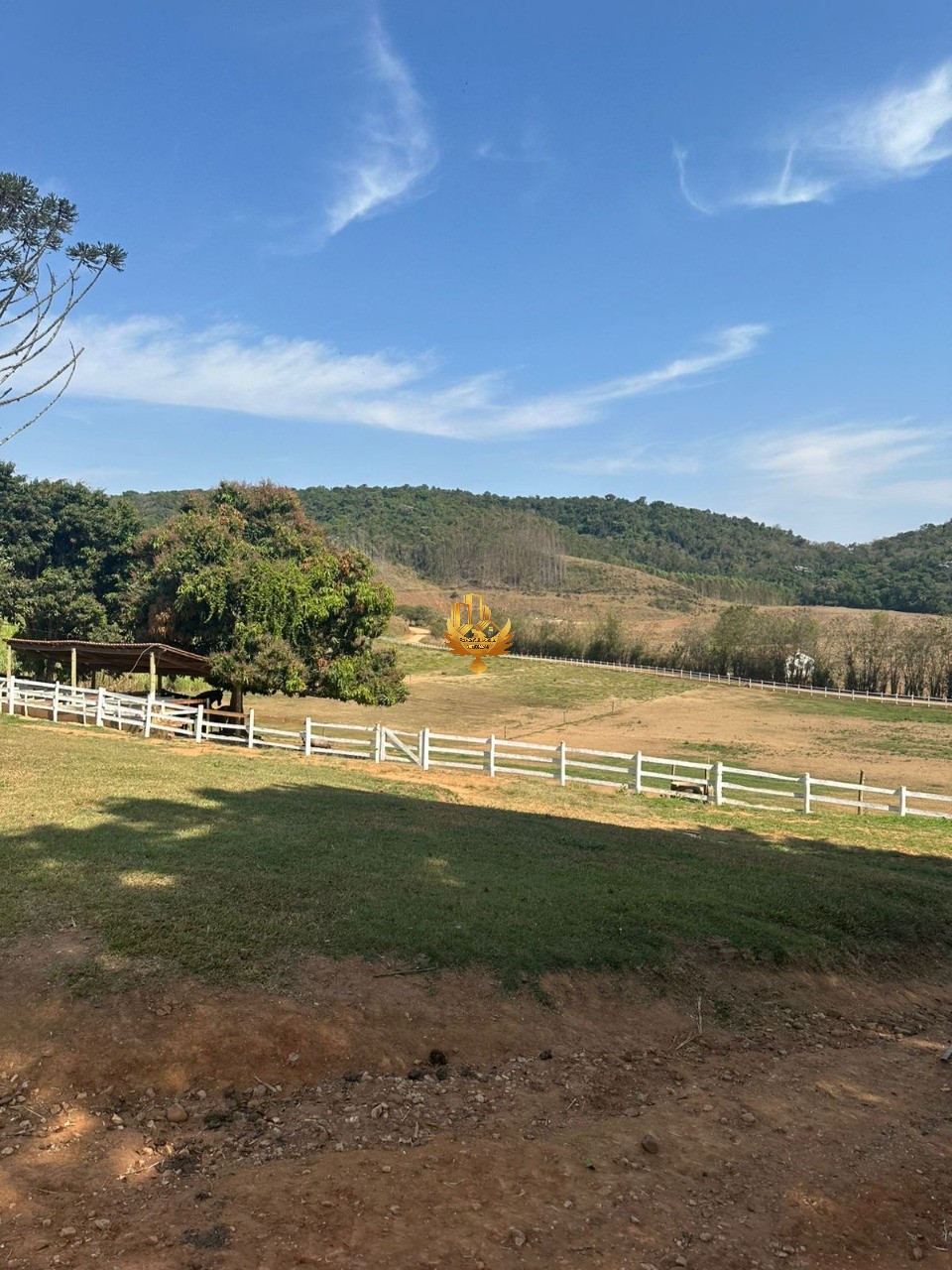 Fazenda, 4 quartos - Foto 36