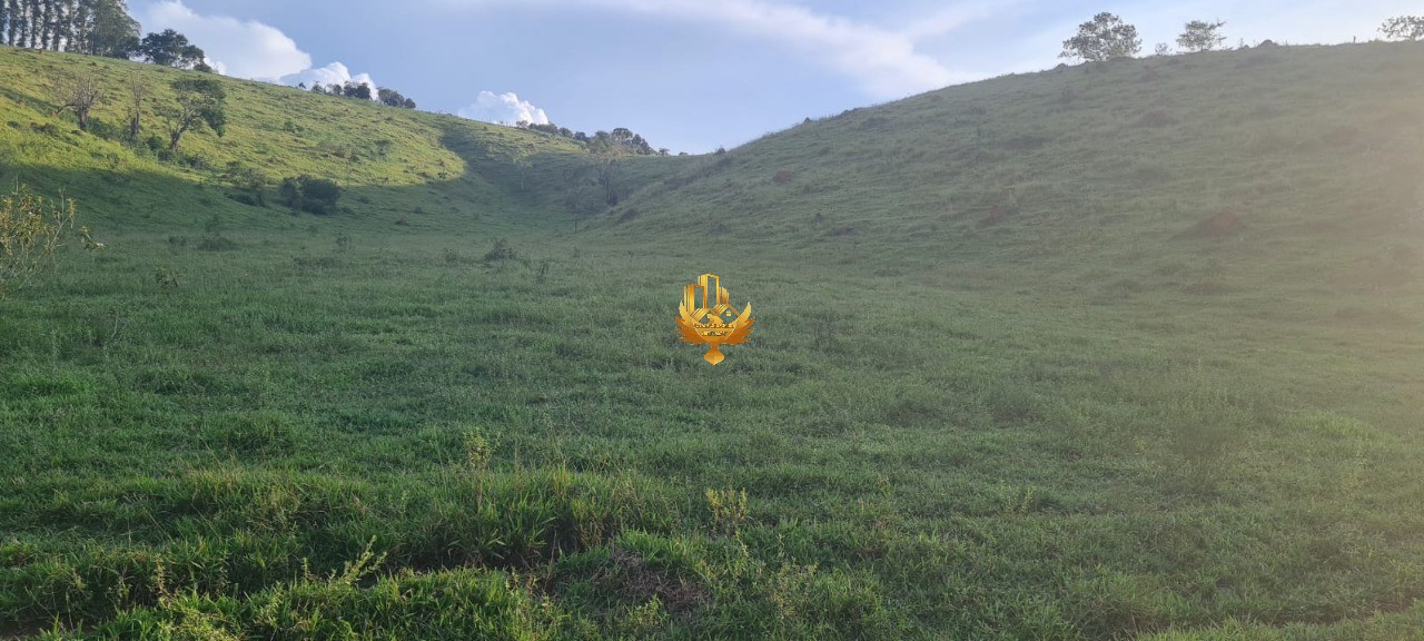 Terreno, 2500 m² - Foto 6