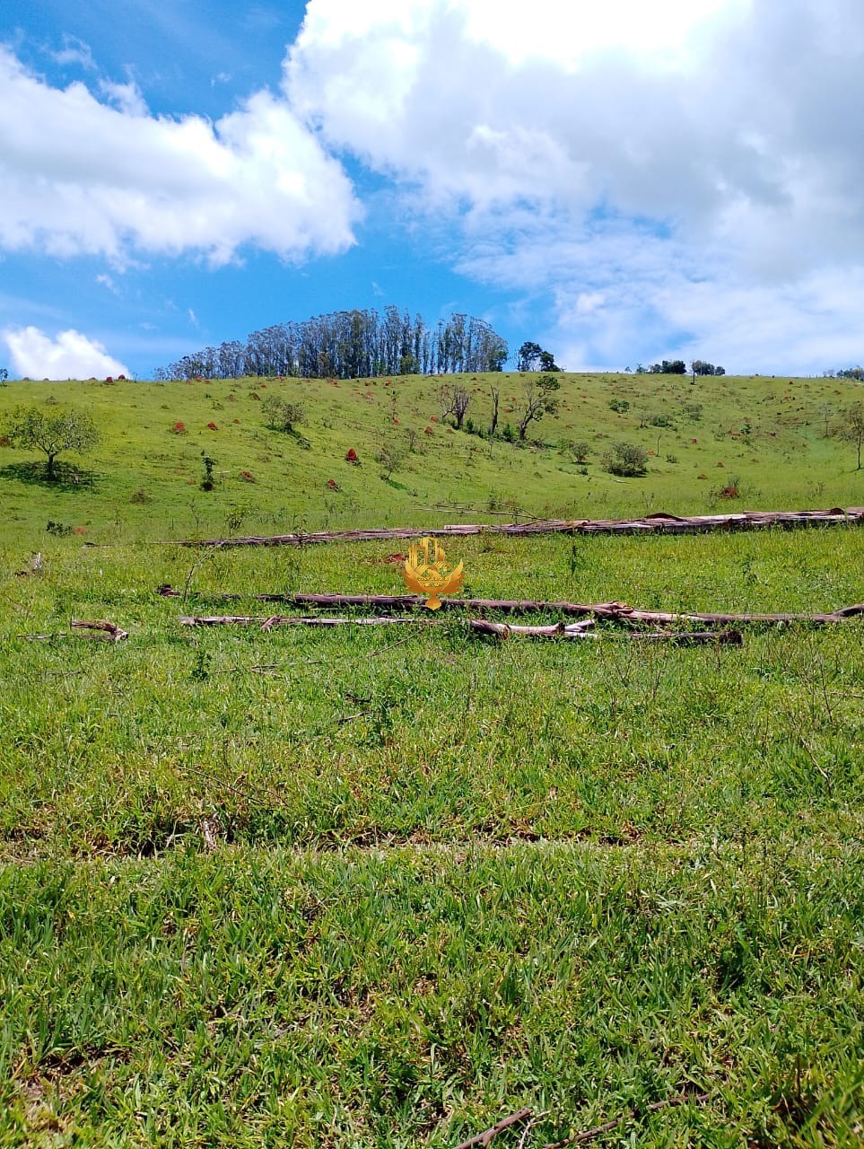 Terreno, 2500 m² - Foto 2