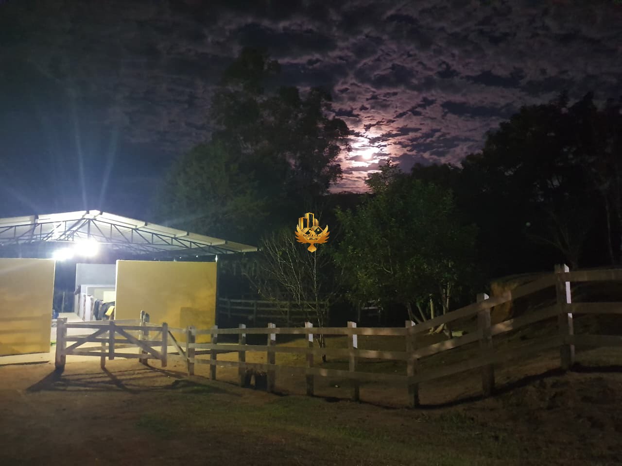 Fazenda, 4 quartos - Foto 27