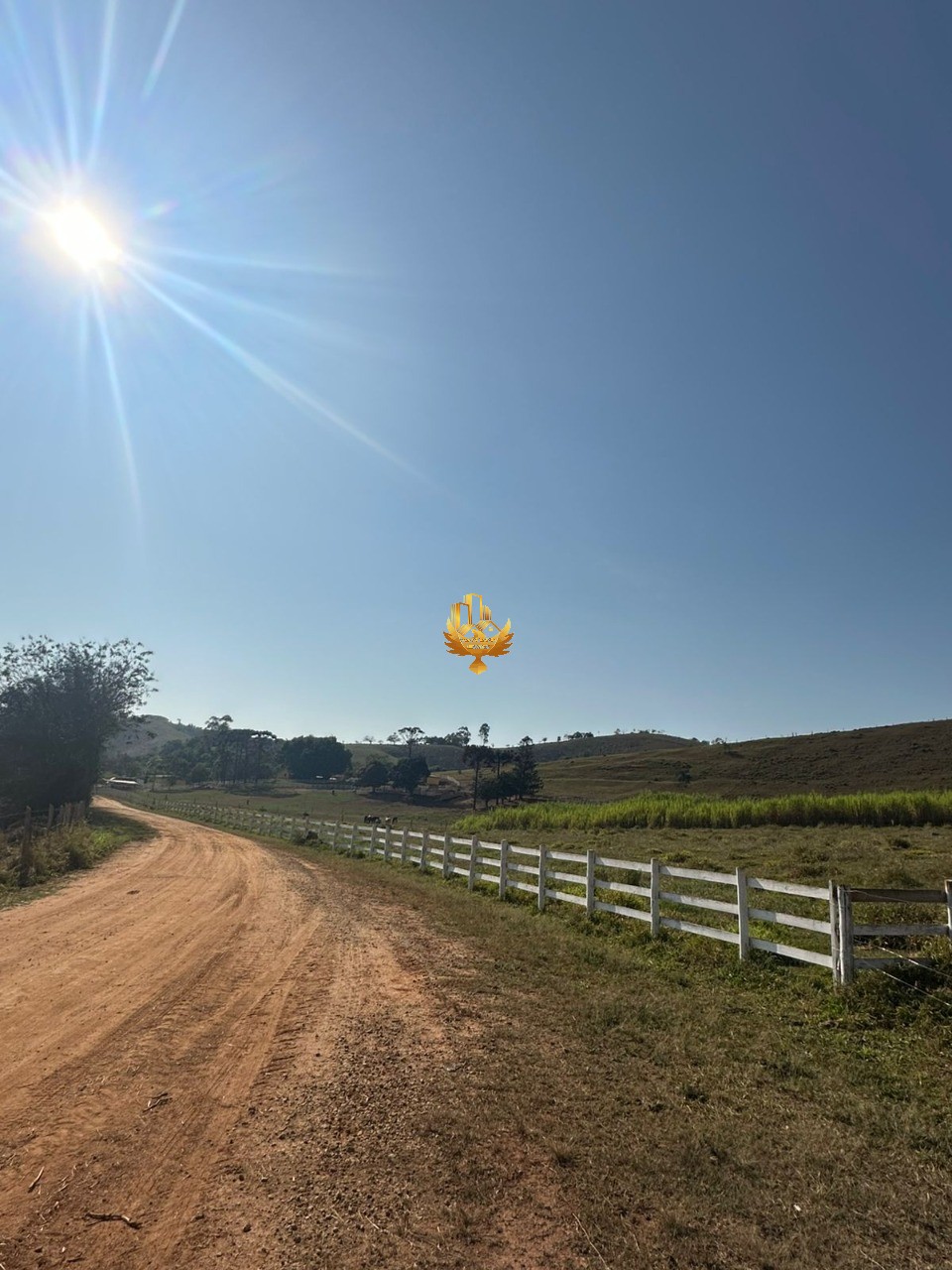 Fazenda, 4 quartos - Foto 6