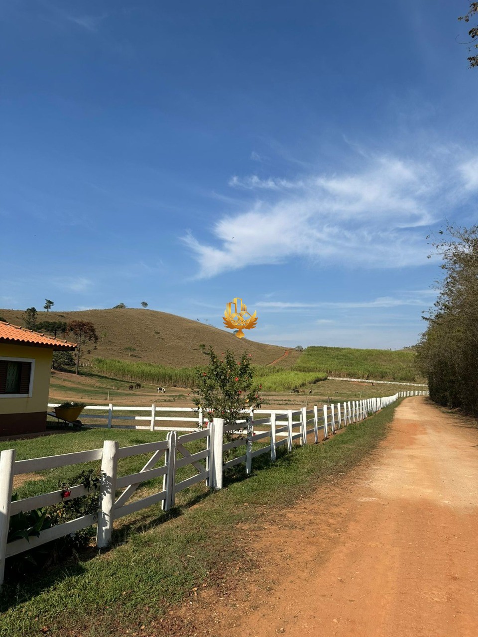 Fazenda, 4 quartos - Foto 19