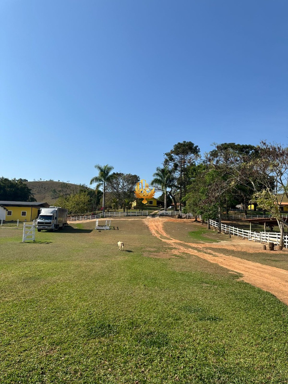 Fazenda, 4 quartos - Foto 29