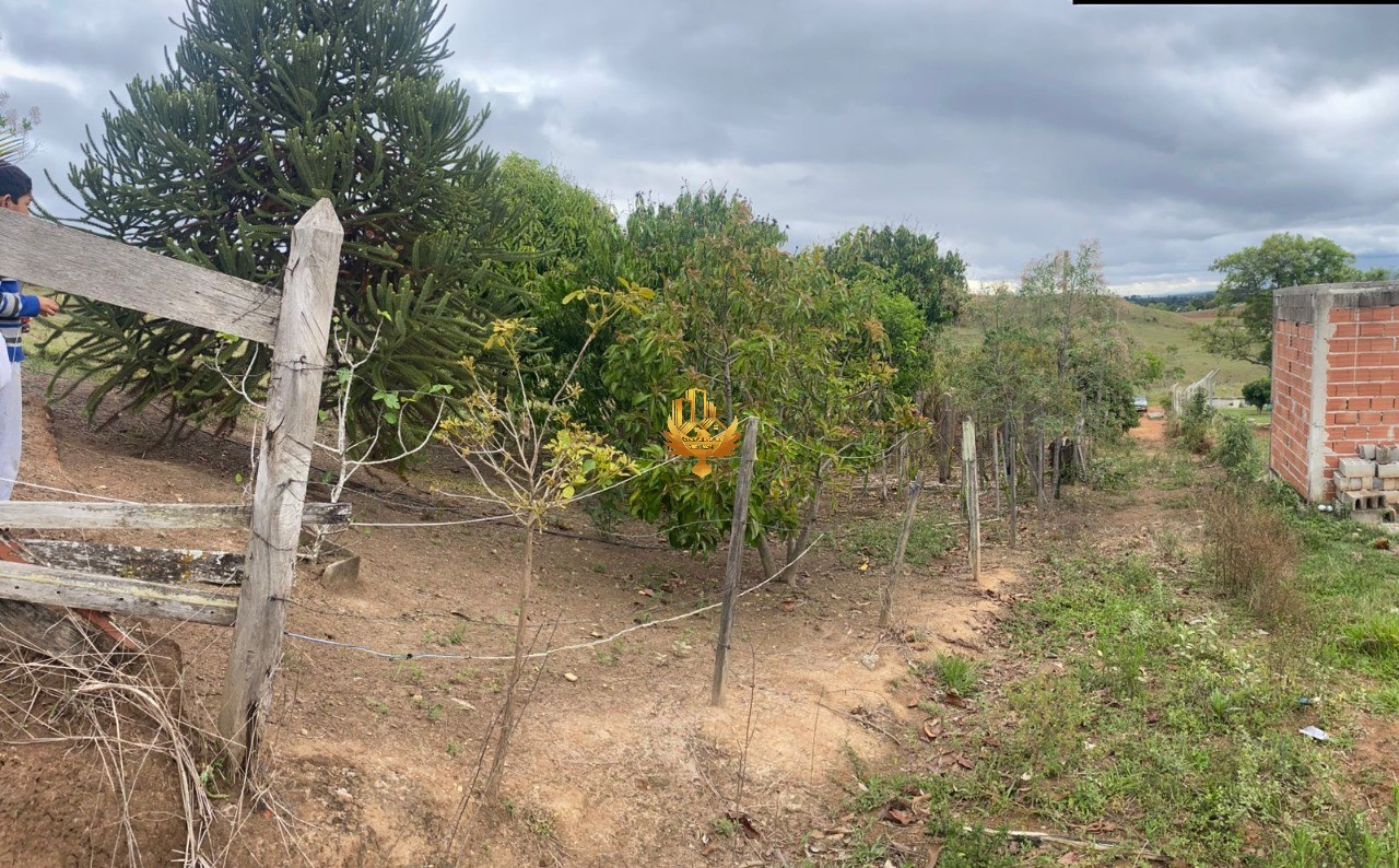 Chácara, 2 quartos, 1380 m² - Foto 9