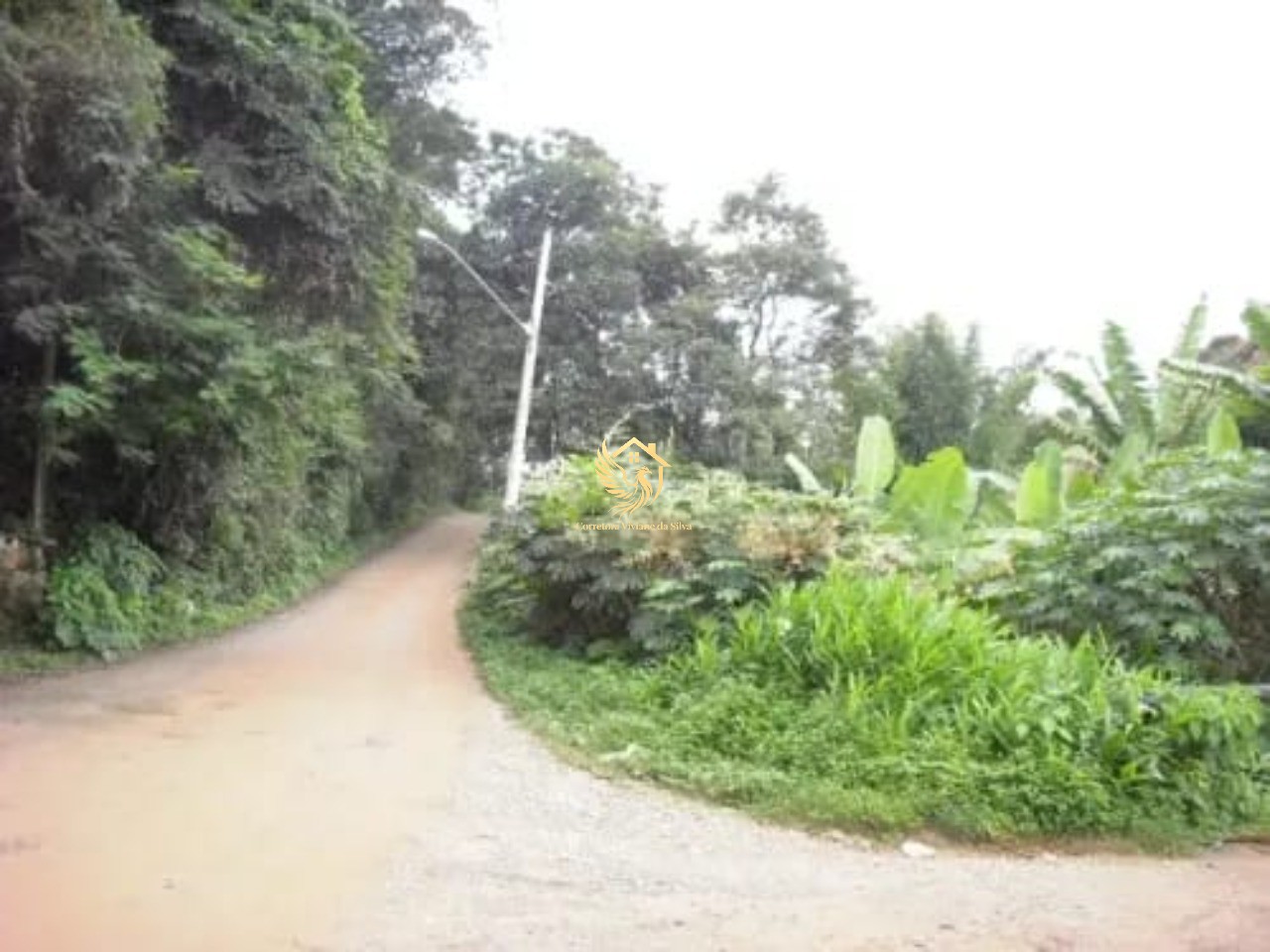 Terreno, 13 hectares - Foto 8
