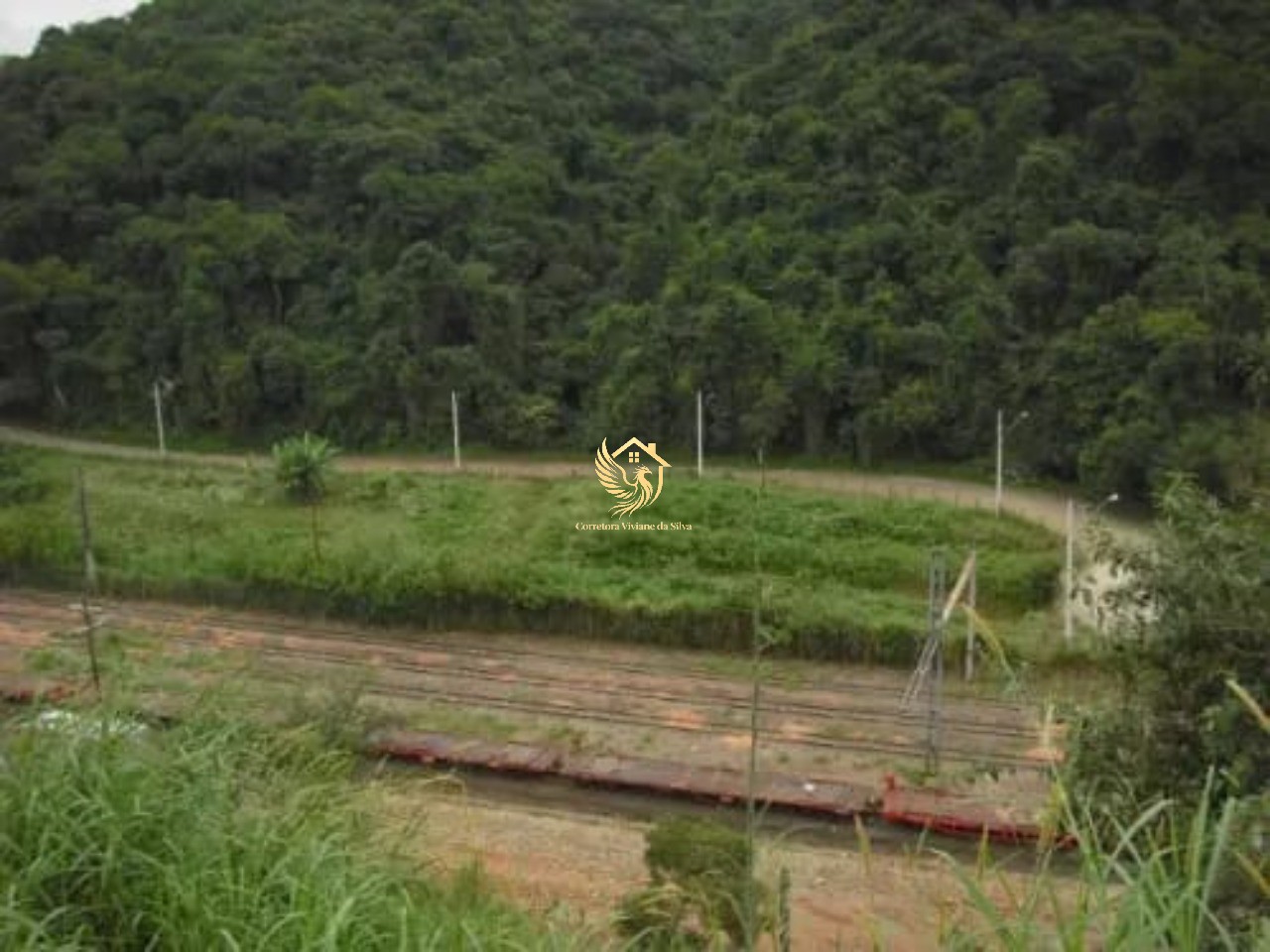 Terreno, 13 hectares - Foto 3