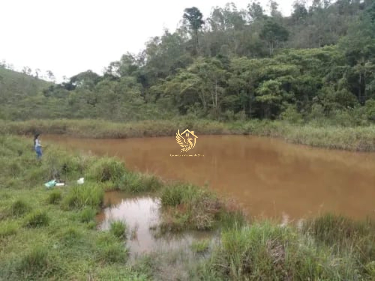 Fazenda, 34 hectares - Foto 2