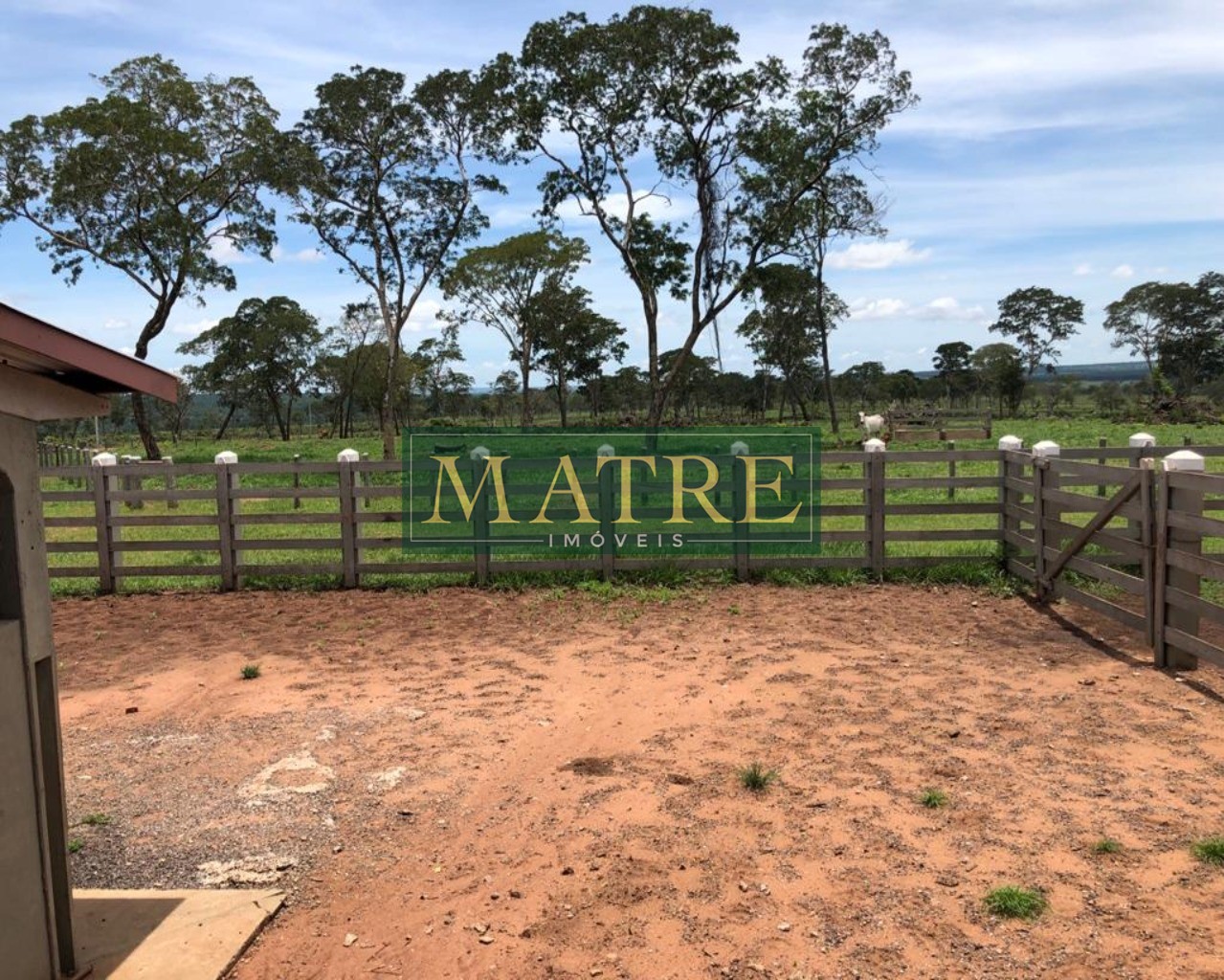 Fazenda à venda com 4 quartos, 750m² - Foto 14