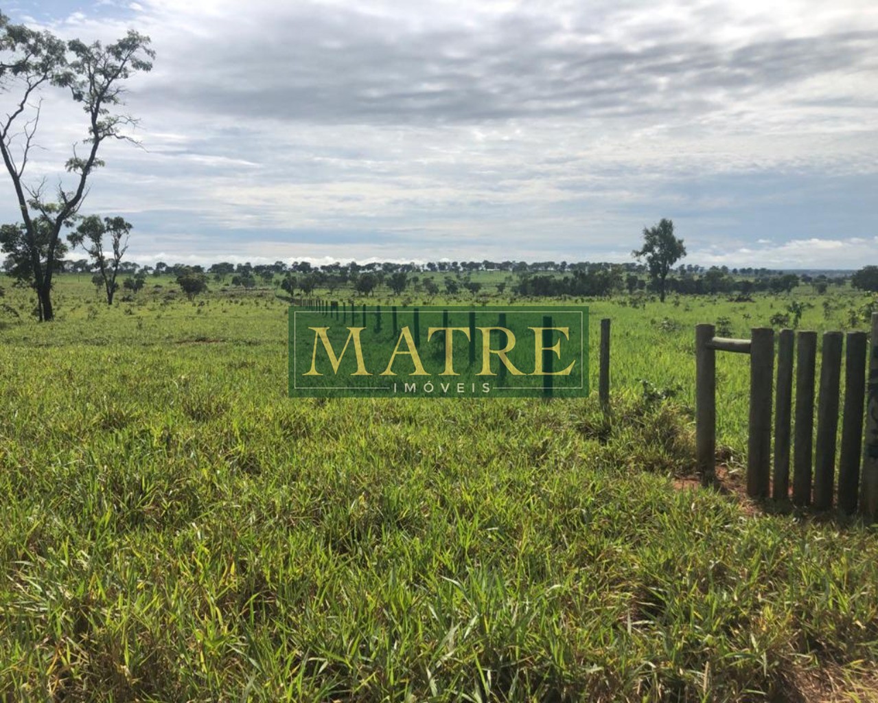 Fazenda à venda com 4 quartos, 750m² - Foto 17