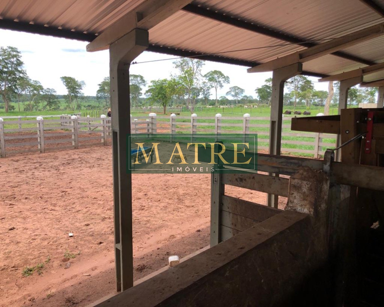 Fazenda à venda com 4 quartos, 750m² - Foto 6