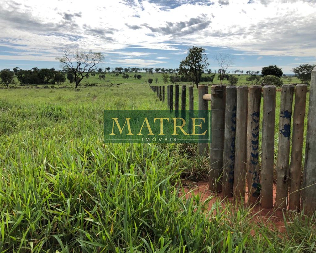 Fazenda à venda com 4 quartos, 750m² - Foto 10