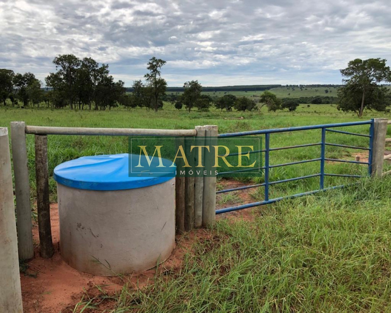 Fazenda à venda com 4 quartos, 750m² - Foto 9