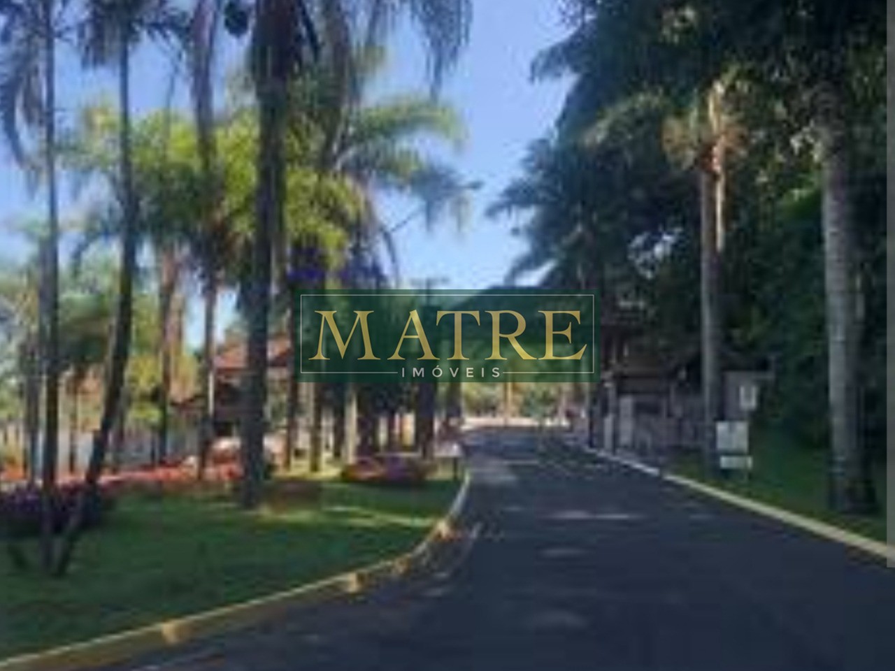 Terreno - Foto 5
