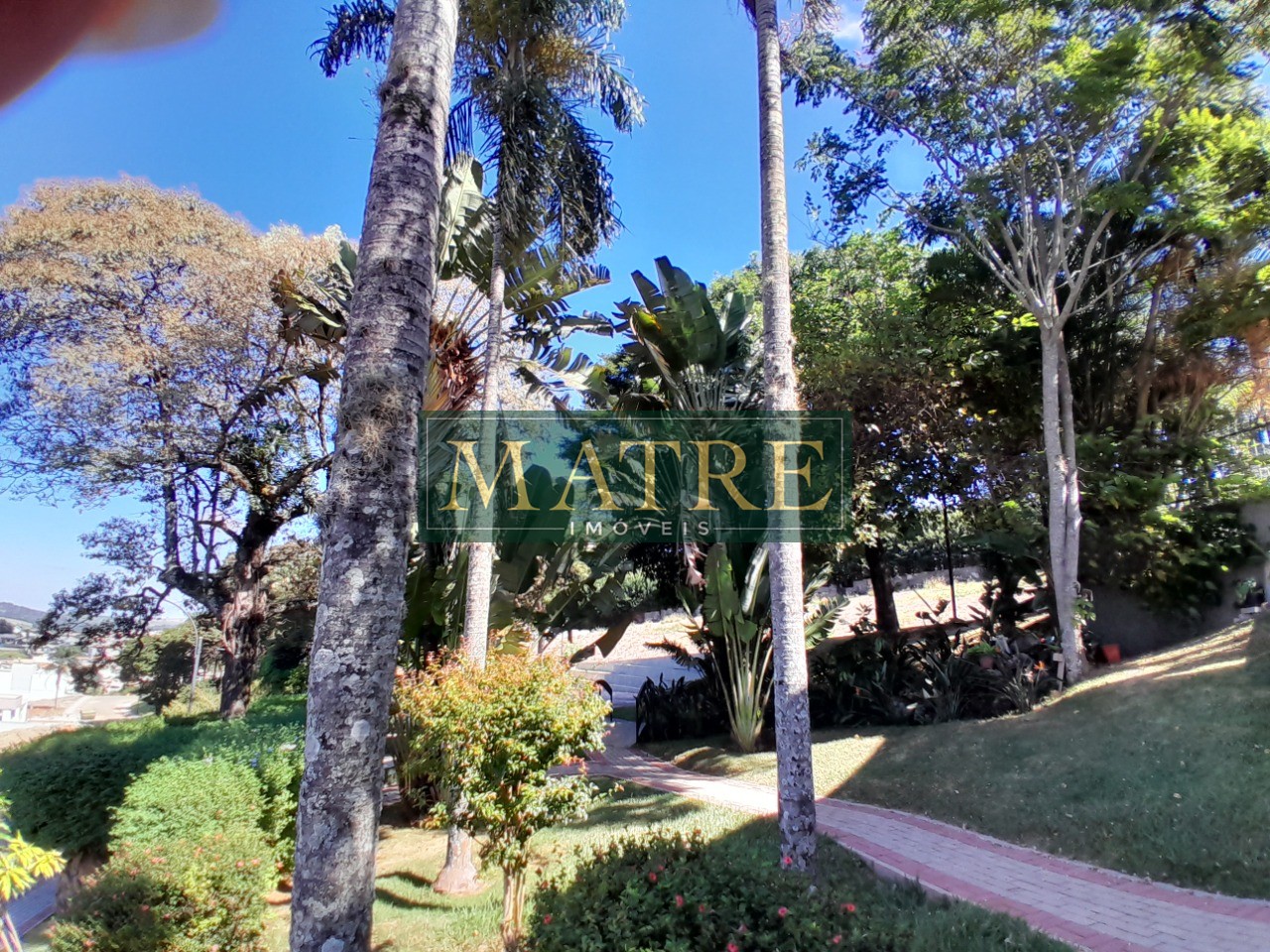 Terreno - Foto 4
