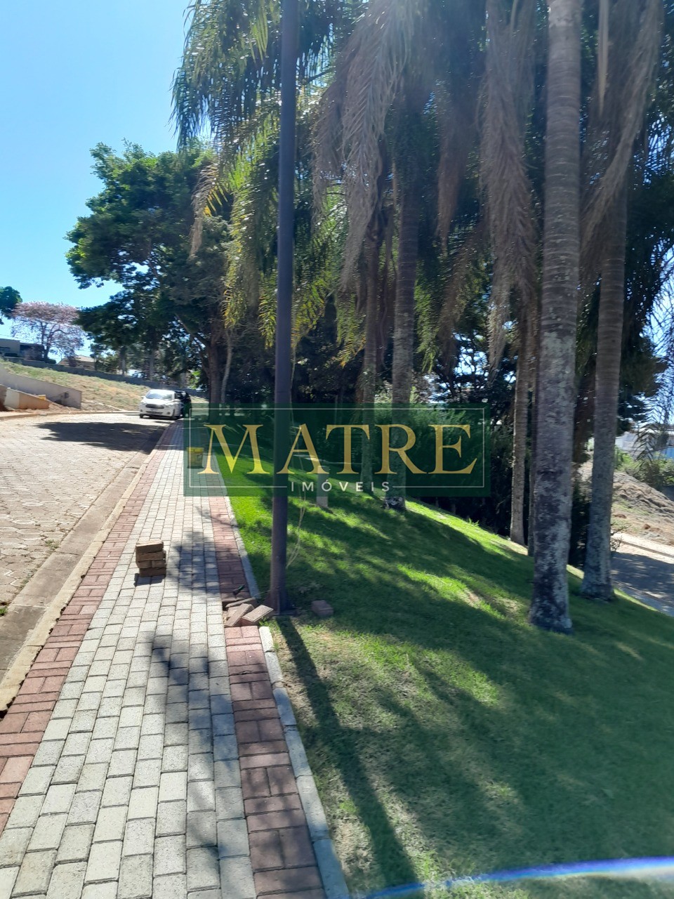 Terreno - Foto 4