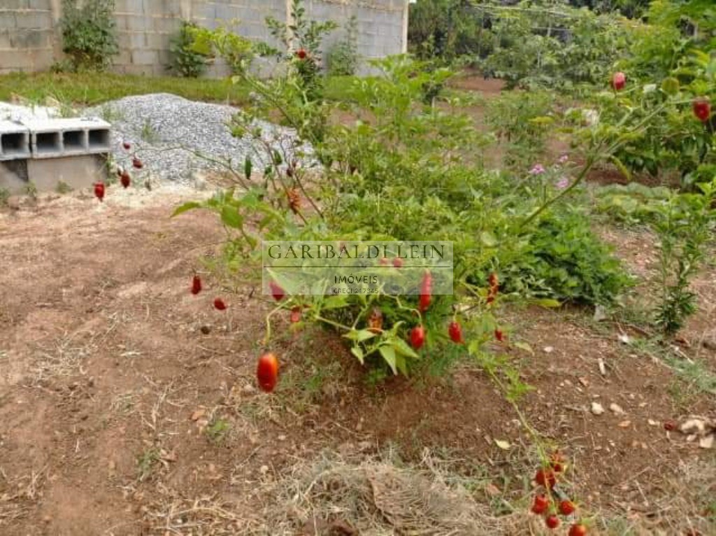 Chácara à venda com 2 quartos, 110m² - Foto 30