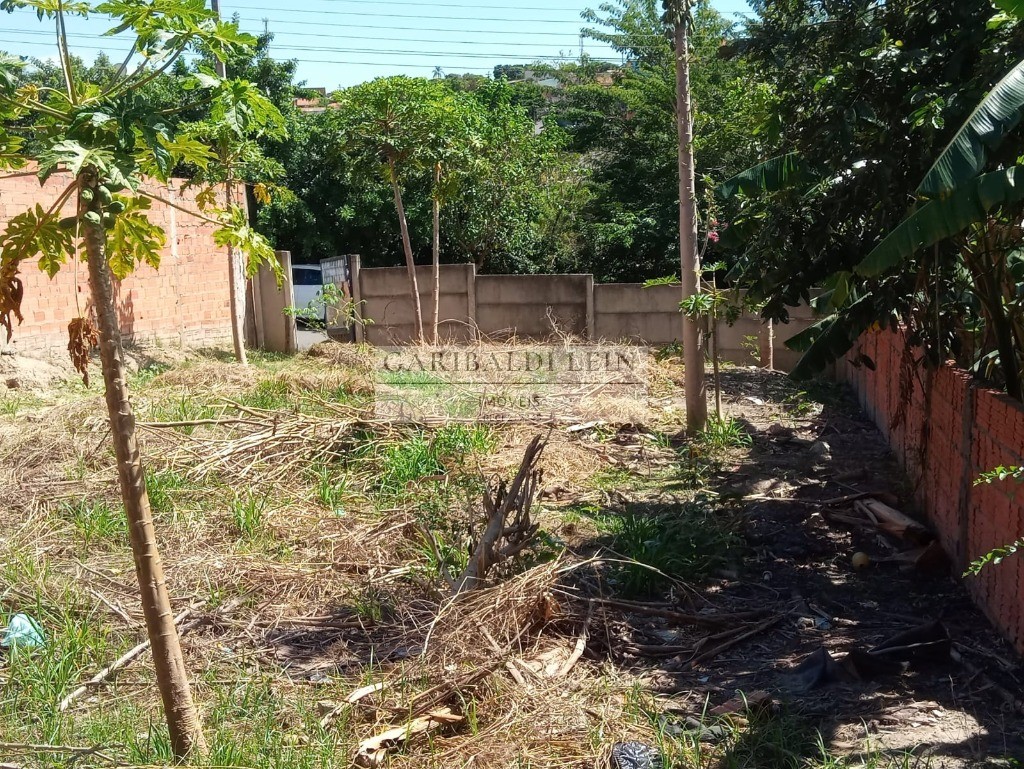 Terreno à venda, 250m² - Foto 6