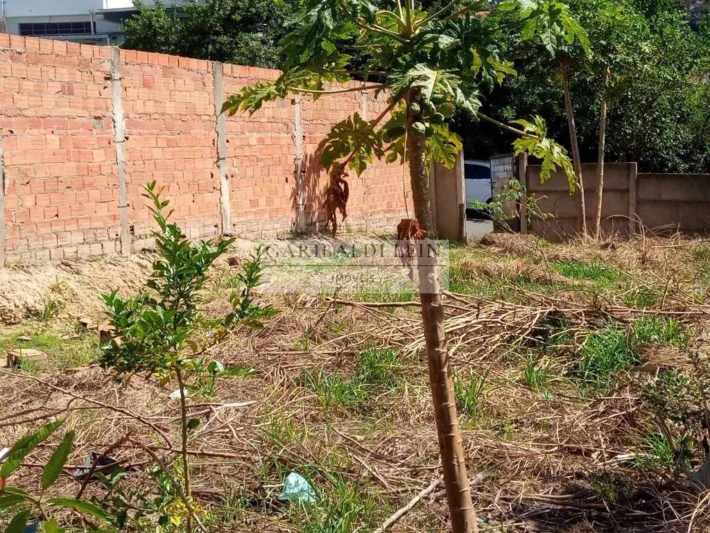 Terreno à venda, 250m² - Foto 4